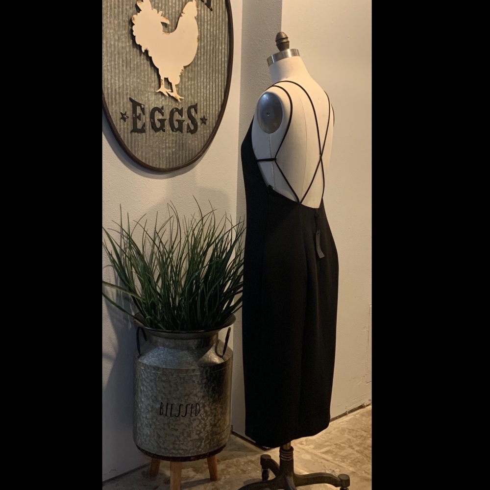 Rag and Bone dress